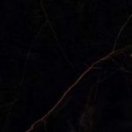 کاشی فیلیکس بلک کد 5865- ایفا سرام